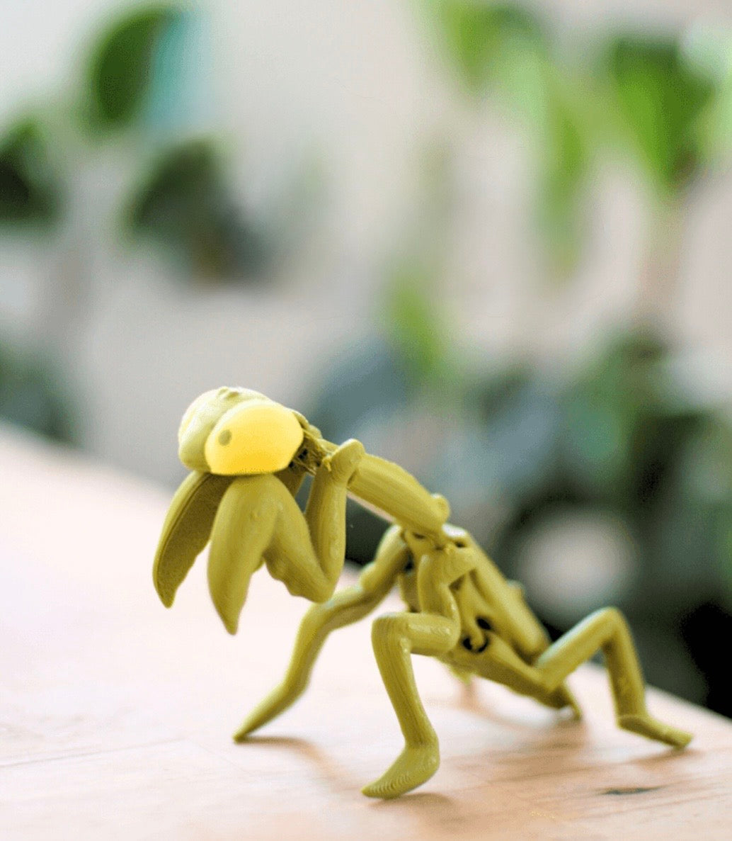 GiZoo - Peygamber Devesi